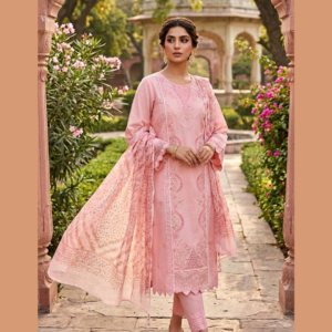 3 pc Stitched Embroidered Dress